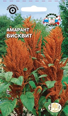Амарант Бисквит (метельчатый, кремово-оранжевый)