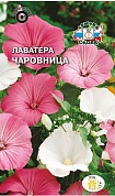 Лаватера Чаровница (смесь цветов)